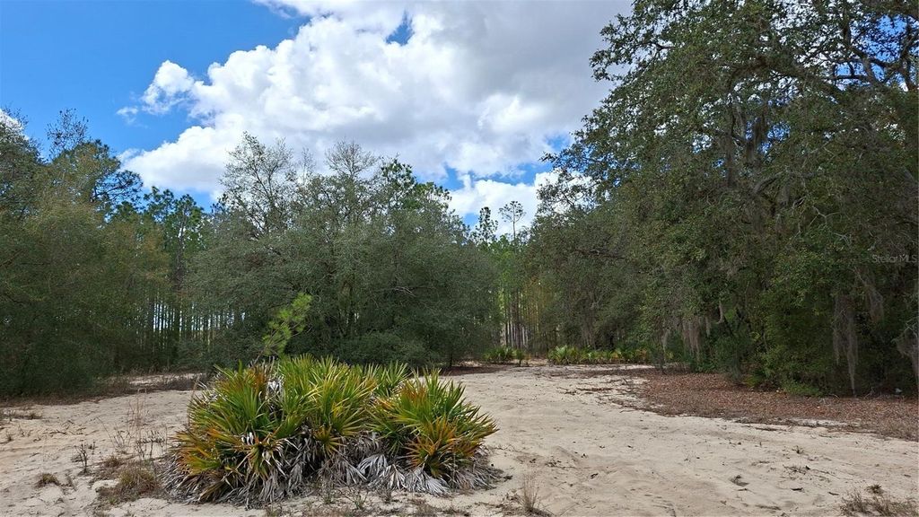 FISHER WAY, Ocklawaha, FL 32179