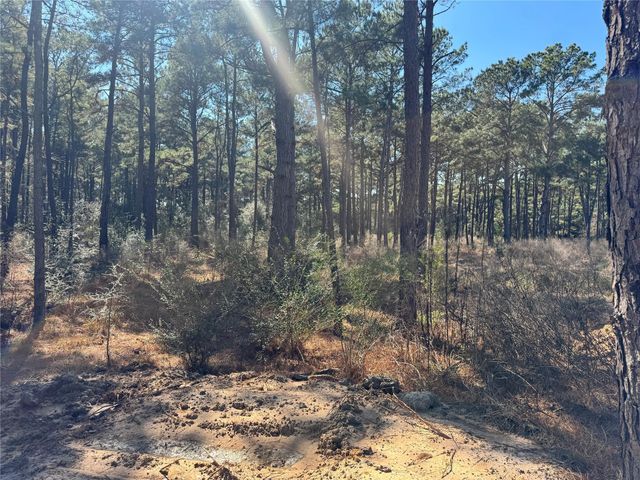 0 Grant Road, Cypress, TX 77429