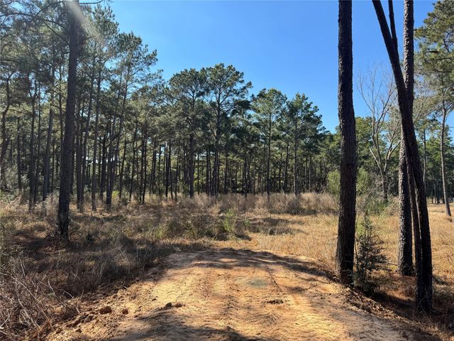 0 Grant Road, Cypress, TX 77429