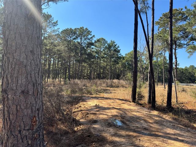 0 Grant Road, Cypress, TX 77429