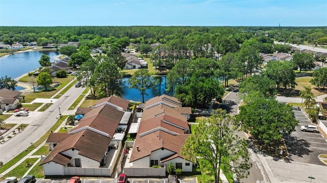 5214 HOPEDALE DRIVE, Tampa, FL 33624