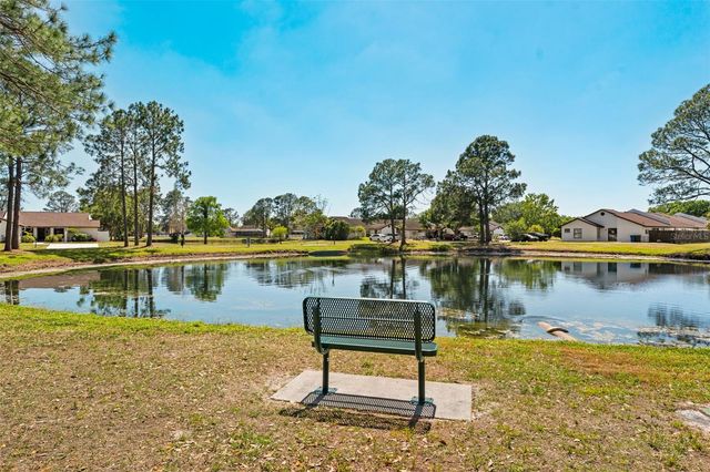 5214 HOPEDALE DRIVE, Tampa, FL 33624