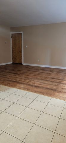 317 Wisconsin Avenue 1A, Oak Park, IL 60302