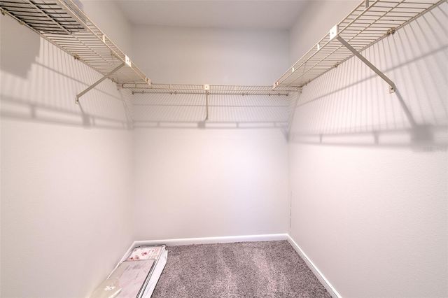2315 SOUTHERN LITES AVENUE, Lutz, FL 33549