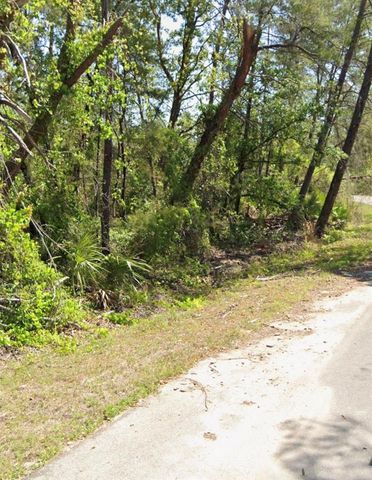 TBD FISHER COURT, Ocklawaha, FL 32179