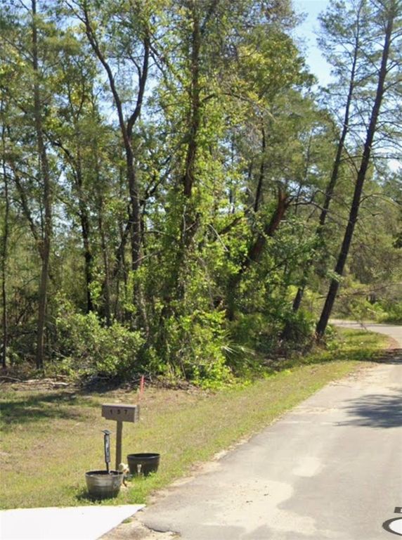 TBD FISHER COURT, Ocklawaha, FL 32179
