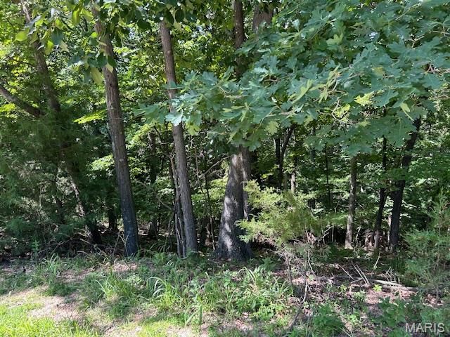 817 Wildflower Valley Drive, High Ridge, MO 63049