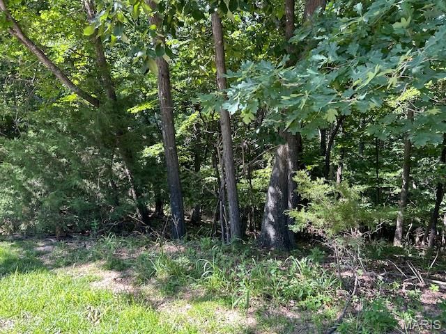 817 Wildflower Valley Drive, High Ridge, MO 63049