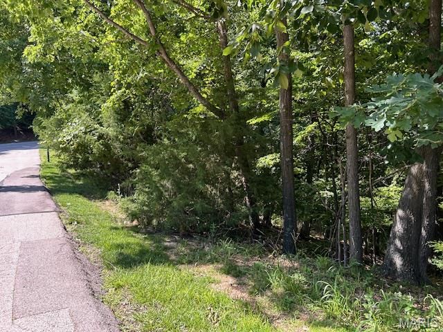 817 Wildflower Valley Drive, High Ridge, MO 63049