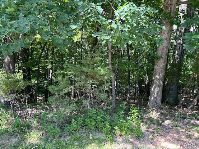 817 Wildflower Valley Drive, High Ridge, MO 63049