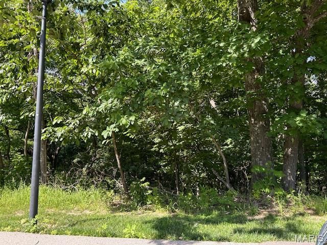 817 Wildflower Valley Drive, High Ridge, MO 63049