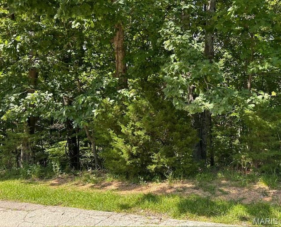 817 Wildflower Valley Drive, High Ridge, MO 63049