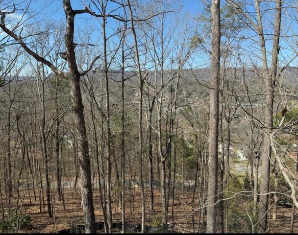 3561 Knollwood Hill Drive, Chattanooga, TN 37415