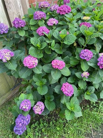 3716 Goose Bay DR, Portsmouth, VA 23703