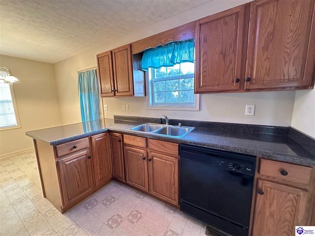 11 Bear Oak Court, Cecilia, KY 42724