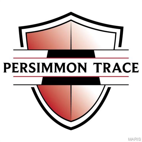 1 TBB Parkview II @ Persimmon Trace, Weldon Spring, MO 63304