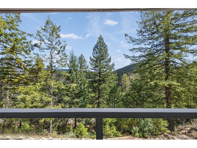 990 Saddleback Dr, Evergreen, CO 80439