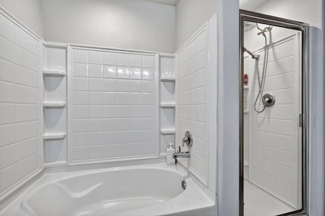 5636 Rainflower Terrace Lane, Spring, TX 77389