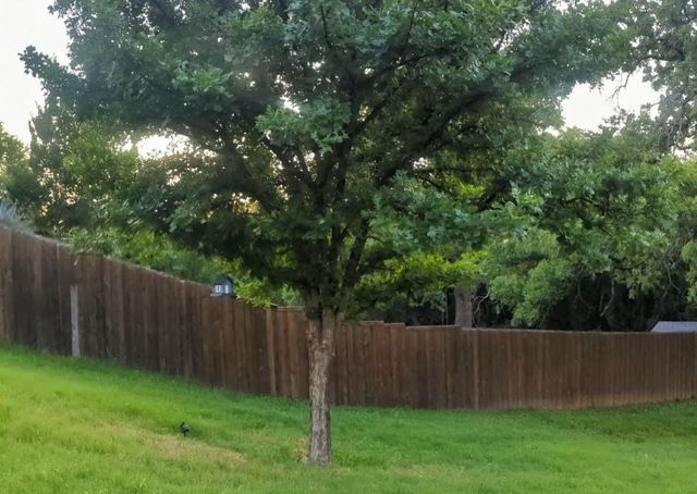 101 Silktree Court, Lake Dallas, TX 75065