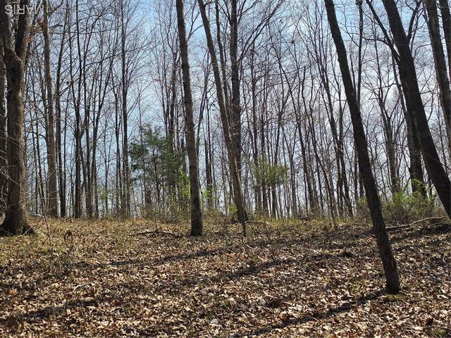 0 Mo-O, Williamsville, MO 63967