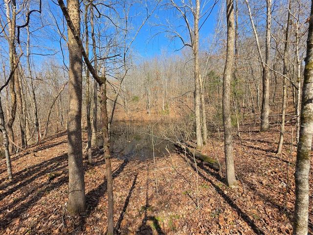 0 Mo-O, Williamsville, MO 63967