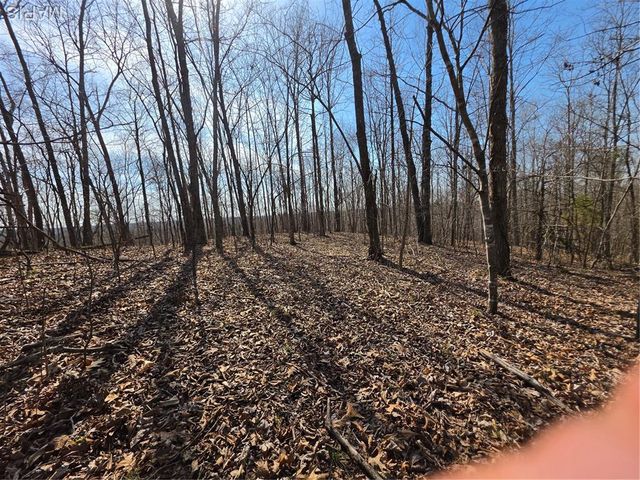 0 Mo-O, Williamsville, MO 63967