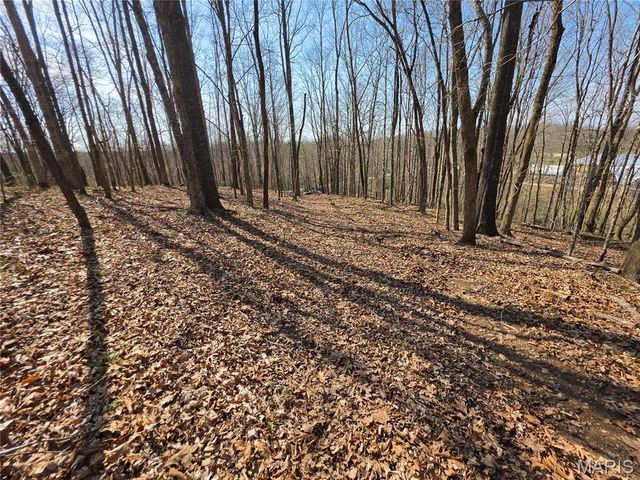 0 Mo-O, Williamsville, MO 63967