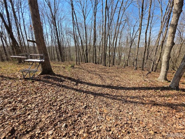 0 Mo-O, Williamsville, MO 63967