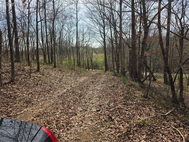 0 Mo-O, Williamsville, MO 63967