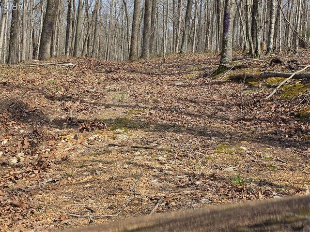 0 Mo-O, Williamsville, MO 63967