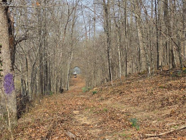 0 Mo-O, Williamsville, MO 63967