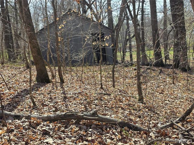 0 Mo-O, Williamsville, MO 63967