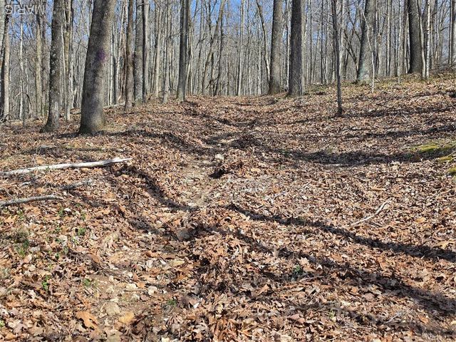 0 Mo-O, Williamsville, MO 63967