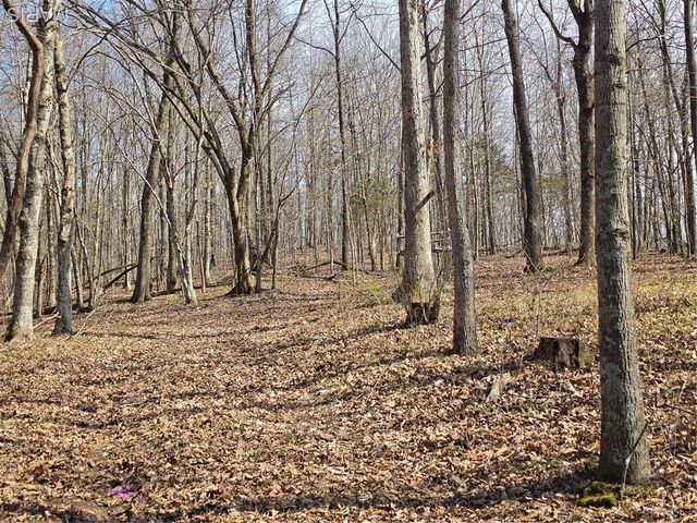 0 Mo-O, Williamsville, MO 63967