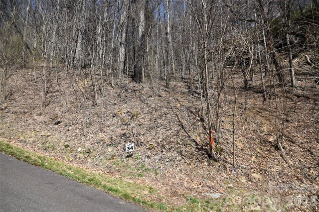 34 Montana Stone Trail 34, Waynesville, NC 28785