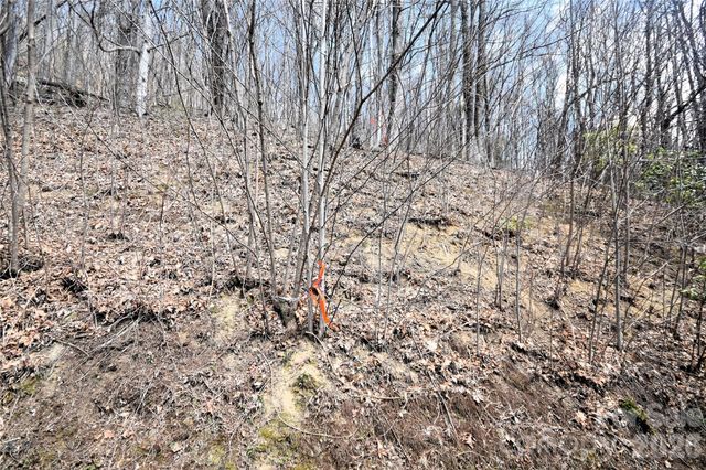 34 Montana Stone Trail 34, Waynesville, NC 28785