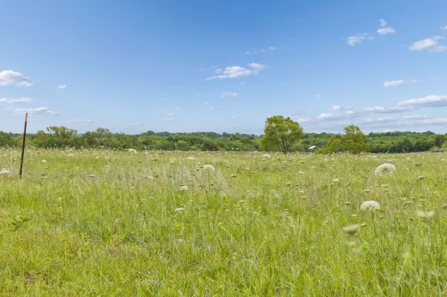 TBD Fm 272, Leonard, TX 75452