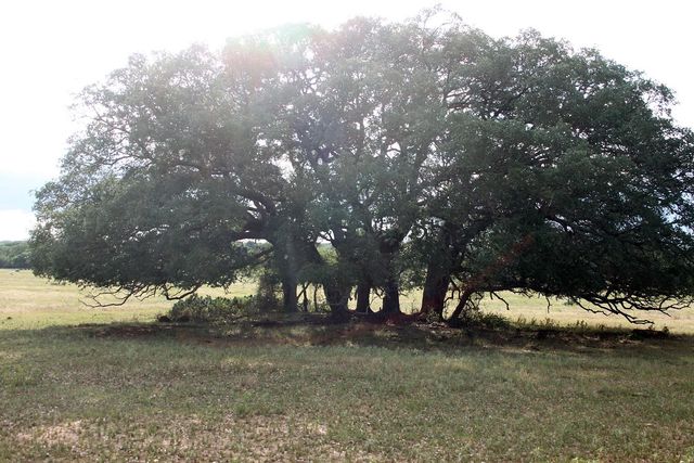 6019 Fm 3158, Dale, TX 78616