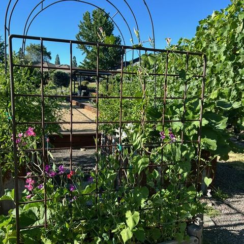 3192 Arnold Palmer Way, Medford, OR 97504