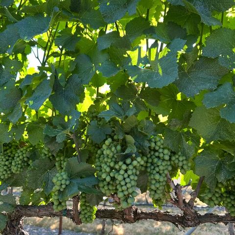 3192 Arnold Palmer Way, Medford, OR 97504