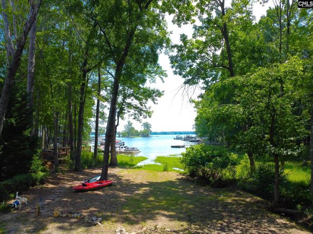 308 Night Harbor Drive, Chapin, SC 29036