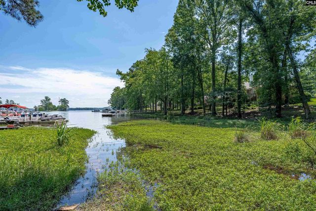 308 Night Harbor Drive, Chapin, SC 29036