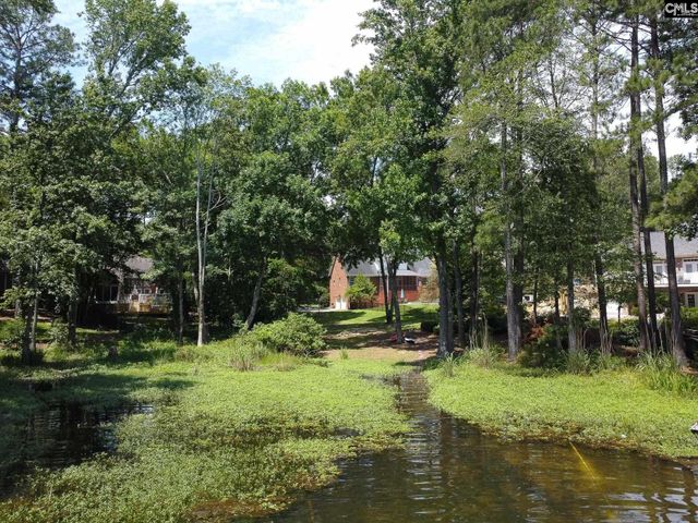 308 Night Harbor Drive, Chapin, SC 29036