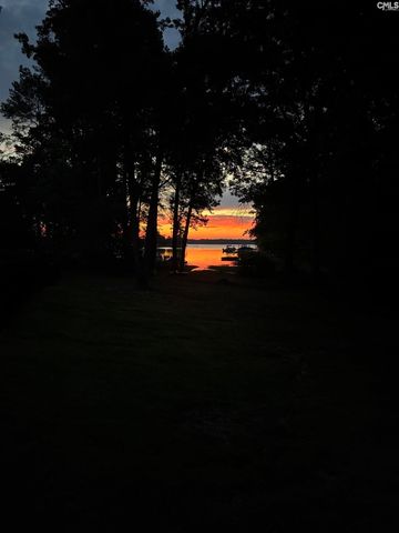 308 Night Harbor Drive, Chapin, SC 29036