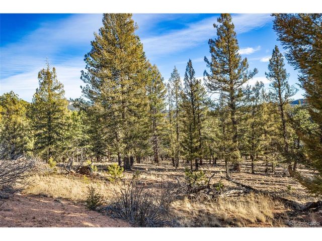 35441 Upper Aspen Ln, Pine, CO 80470