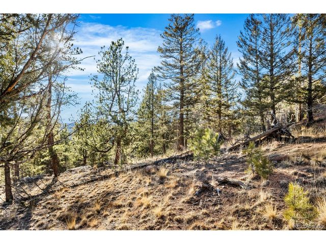 35441 Upper Aspen Ln, Pine, CO 80470