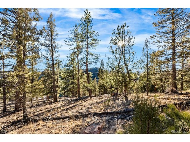 35441 Upper Aspen Ln, Pine, CO 80470