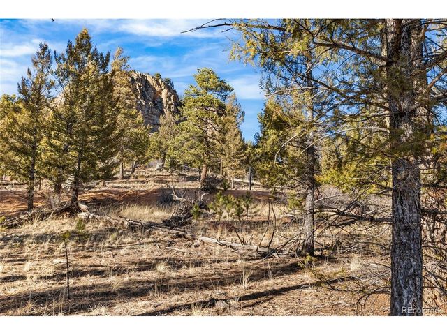 35441 Upper Aspen Ln, Pine, CO 80470