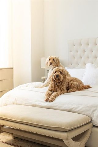 2425 Peachtree NE Road 404, Atlanta, GA 30305