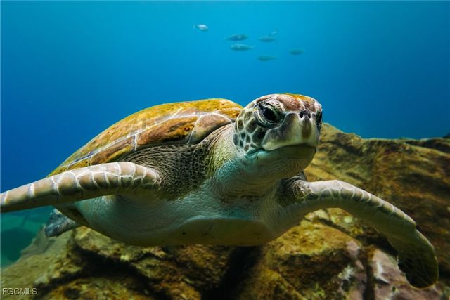 626 NE 12th ST, Cape Coral, FL 33909